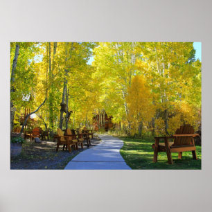 "Aspen Walkway" Fall Colours, Hope Valley CA. Poster