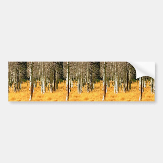 aspen woods bumper sticker (Front)