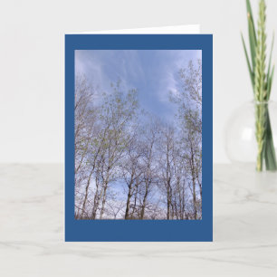 Aspens Against A Wisconsin Sky Blank Note Card