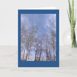 Aspens Against A Wisconsin Sky Blank Note Card