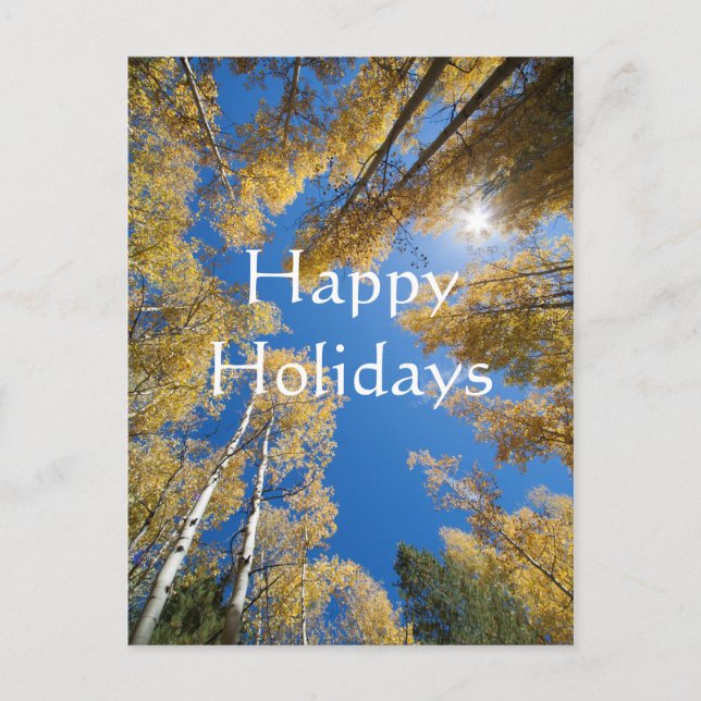 Aspen's all around, Happy Holidays Holiday Postcard (Front)