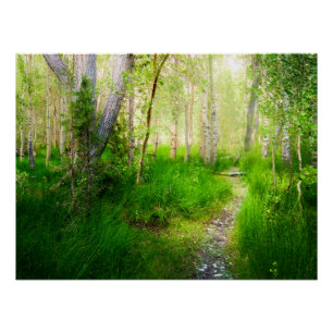 Aspens and Lush Grasses at Convict Lake Poster