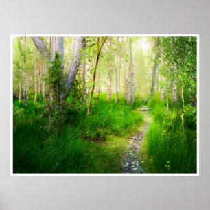 Aspens and Lush Grasses at Convict Lake Poster
