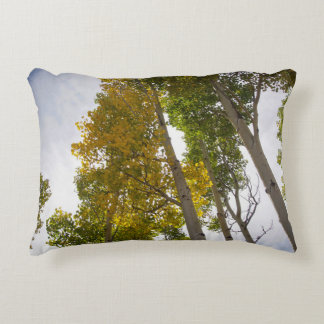 Aspens Decorative Cushion
