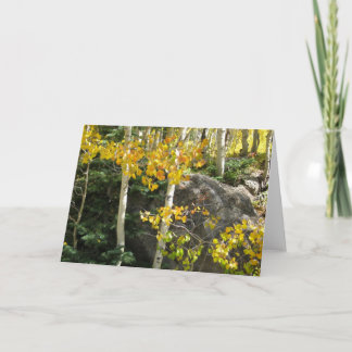 Aspens Greeting Card