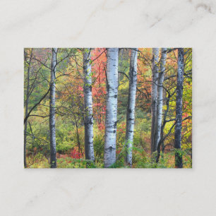 Aspens in Autumn ATC Business Card