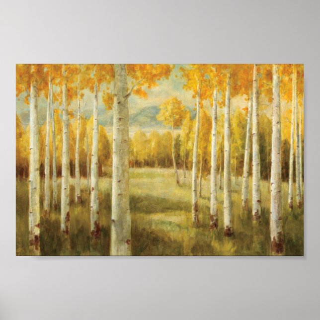 Aspens in Autumn Poster (Front)