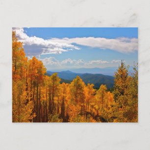 Aspens in New Mexico Postcard