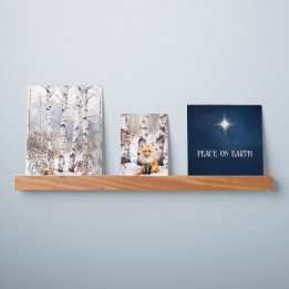 Aspens in Winter with Red Fox  Picture Ledge