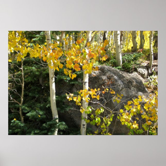 Aspens Poster (Front)