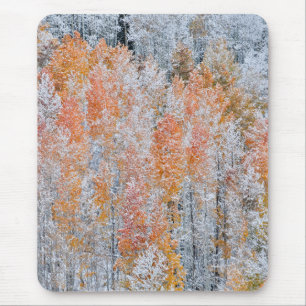 Aspens & Snow   Rocky Mountains, Colorado Mouse Pad