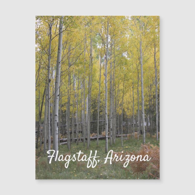 Aspen's yellow glow (Front)