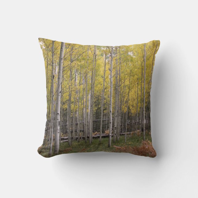 Aspen's yellow glow cushion (Front)