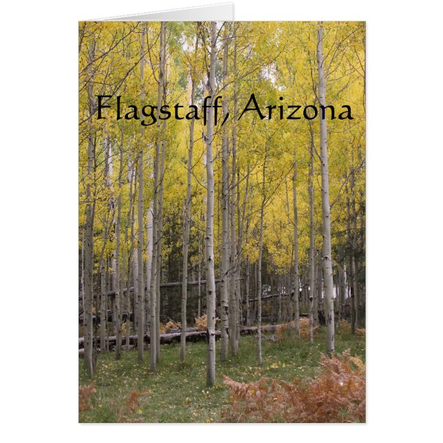 Aspen's yellow glow flagstaff (Front)