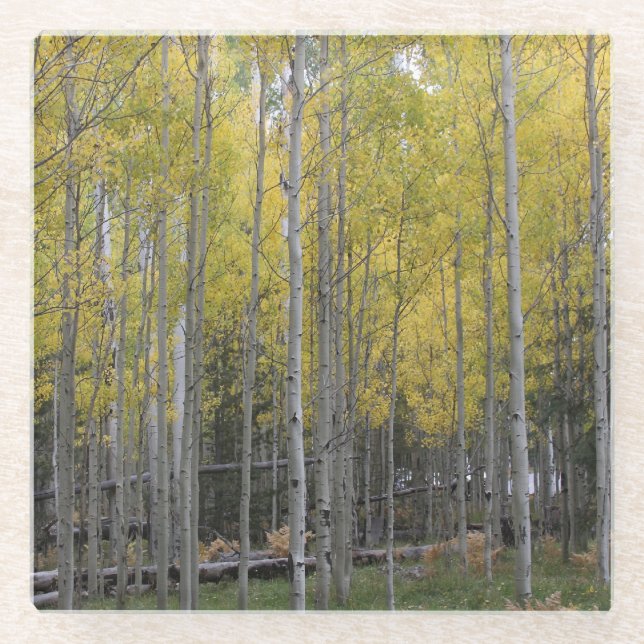 Aspen's yellow glow glass coaster (Front)