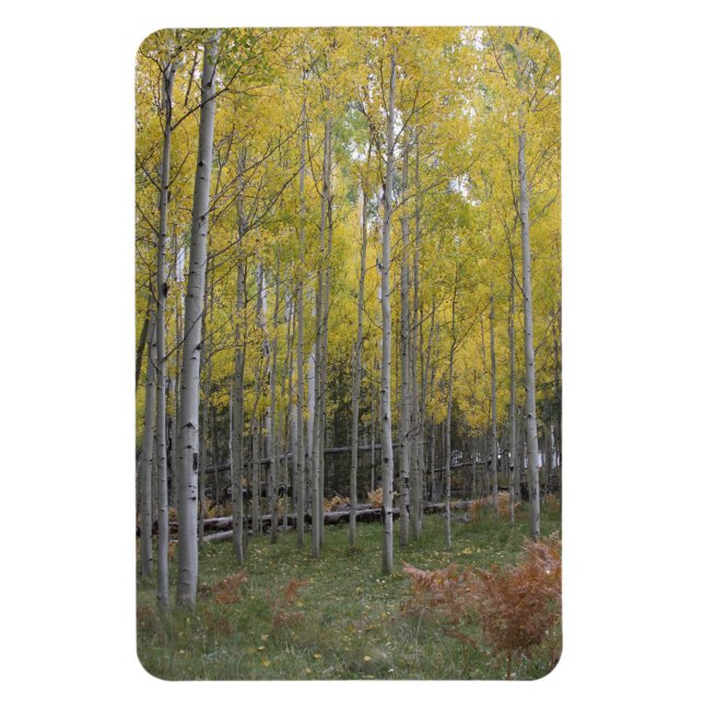 Aspen's yellow glow magnet (Vertical)
