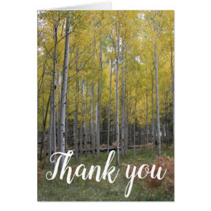 Aspen's Yellow Glow thank you