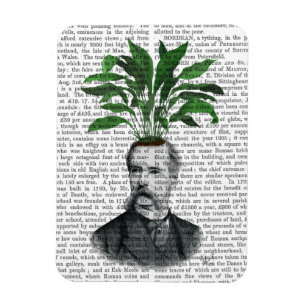 Aspidistra Head Plant Head Magnet