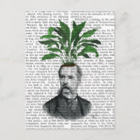 Aspidistra Head Plant Head