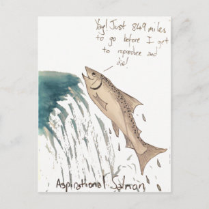 Aspirational Salmon Postcard