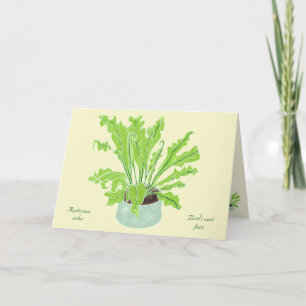 Asplenium Bird's nest fern - drawing on orange. Card
