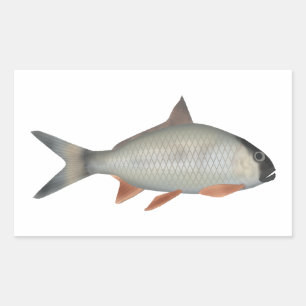 Assamese Kingfish Rectangular Sticker