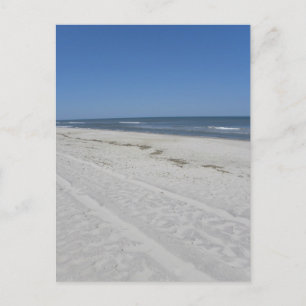 Assateague Beach Postcard