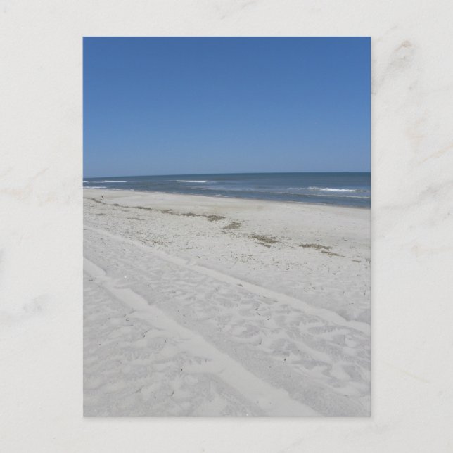 Assateague Beach Postcard (Front)