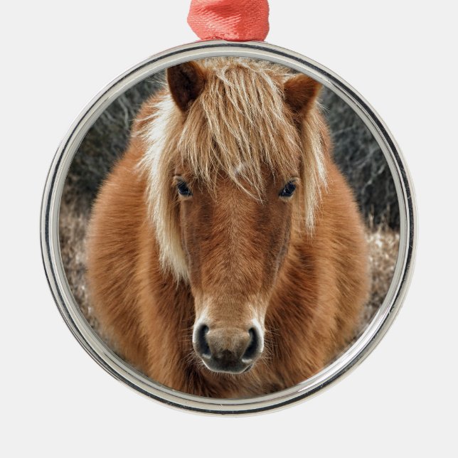 Assateague Horse Mieke's Noe'lani Portrait Metal Ornament (Front)