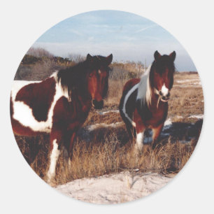Assateague Horses Sticker, Wild Ponies Sticker