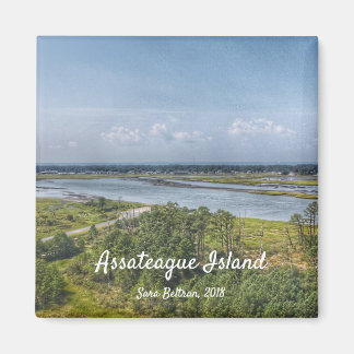 Assateague Island Magnet