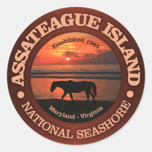 Assateague Island National Seashore Classic Round Sticker