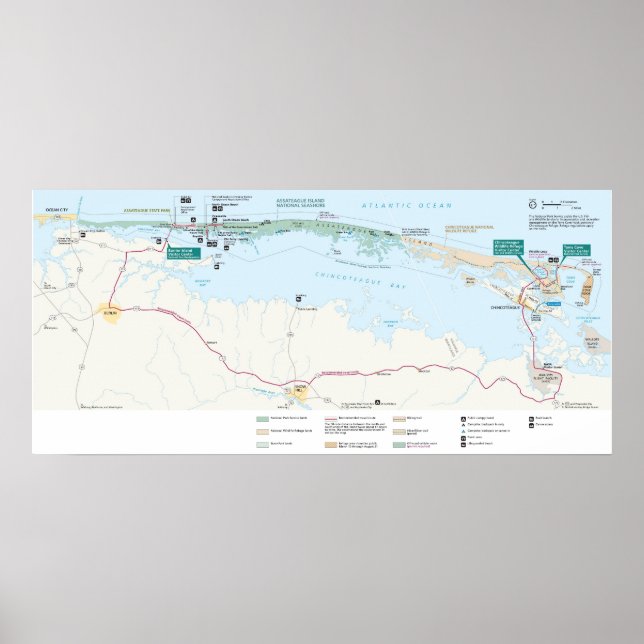 Assateague Island National Seashore Poster (Front)