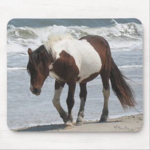 Assateague Island Pony Mouse Pad