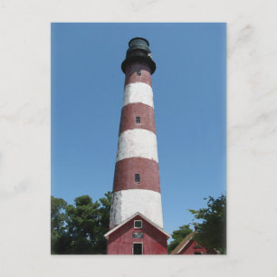 Assateague Lighthouse Postcard