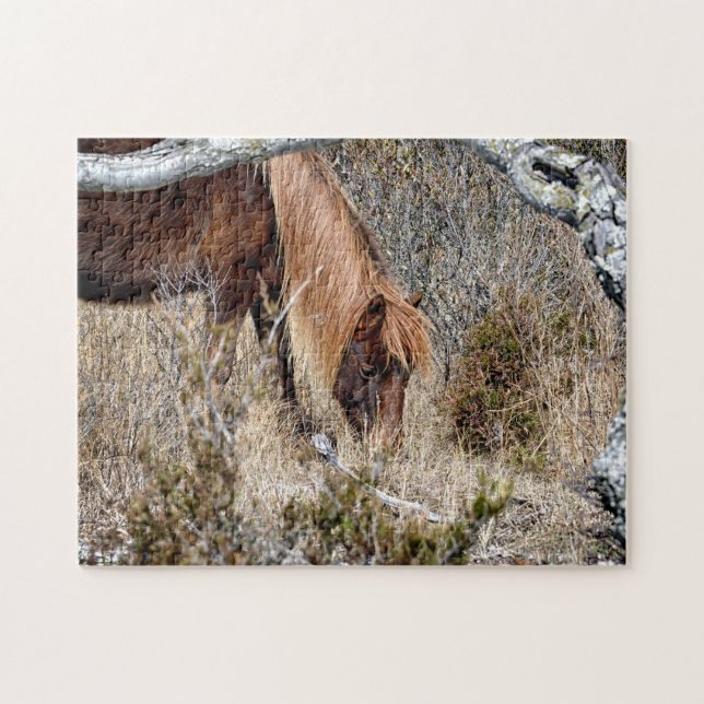 Assateague Wild Horse Jigwaw Jigsaw Puzzle (Horizontal)