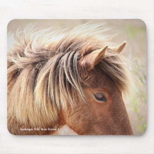 Assateague Wild Horse Mouse Pad (Front)