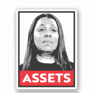 ASSETS: Letitia James