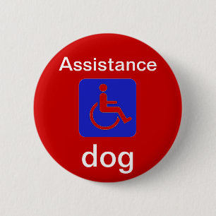 assistance dog with handicapped symbol button