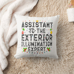 Assistant To The Exterior Illumination Expert Cool Cushion