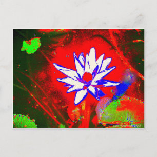 ASSORTED ABSTRACTS POSTCARD