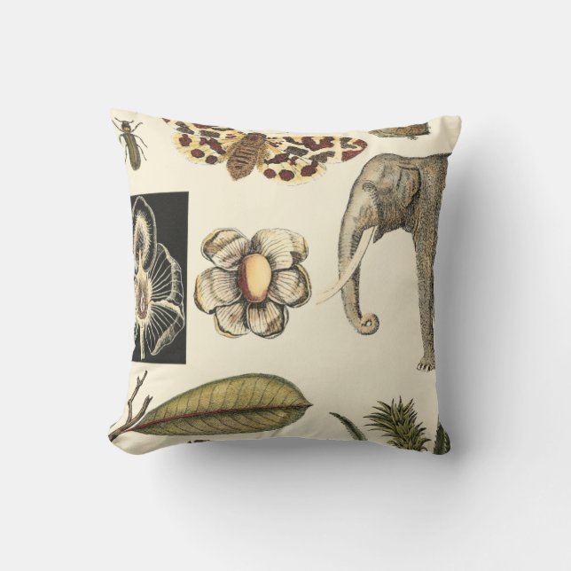 Assorted Animals Painted on Cream Background Cushion (Front)