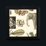 Assorted Animals Painted on Cream Background Gift Box<br><div class="desc">The wonders of nature are shown in this piece by Vision Studio. Creepy insects mix with an elephant,  butterfly and other assorted animals. If you love nature this is the print for you!</div>