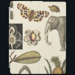 Assorted Animals Painted on Cream Background iPad Smart Cover<br><div class="desc">The wonders of nature are shown in this piece by Vision Studio. Creepy insects mix with an elephant,  butterfly and other assorted animals. If you love nature this is the print for you!</div>
