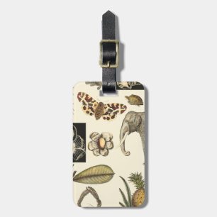 Assorted Animals Painted on Cream Background Luggage Tag