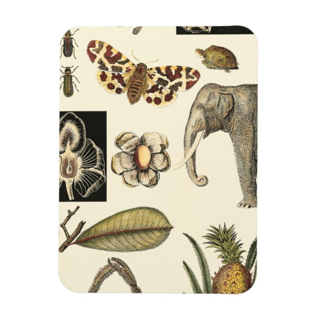 Assorted Animals Painted on Cream Background Magnet (Vertical)