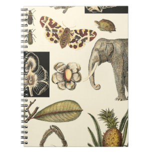 Assorted Animals Painted on Cream Background Notebook