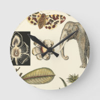Assorted Animals Painted on Cream Background