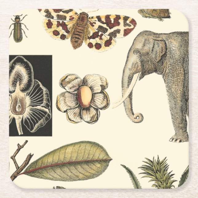 Assorted Animals Painted on Cream Background Square Paper Coaster (Front)