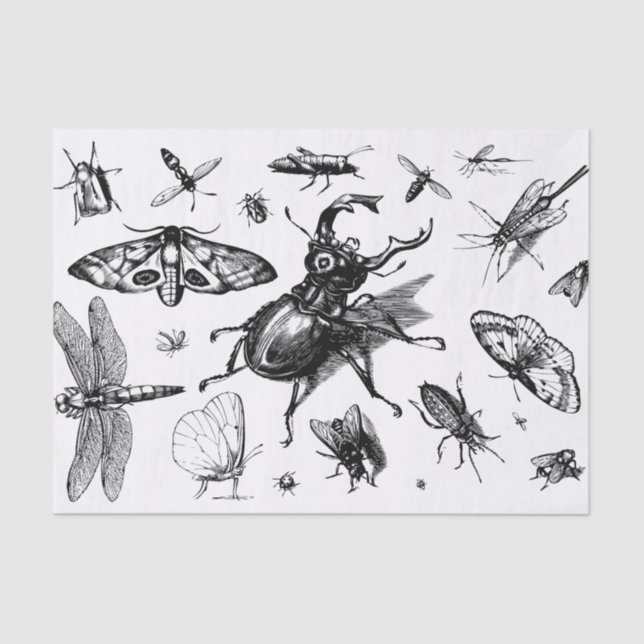 Assorted Bugs Black and Grey Tissue Paper (Front)